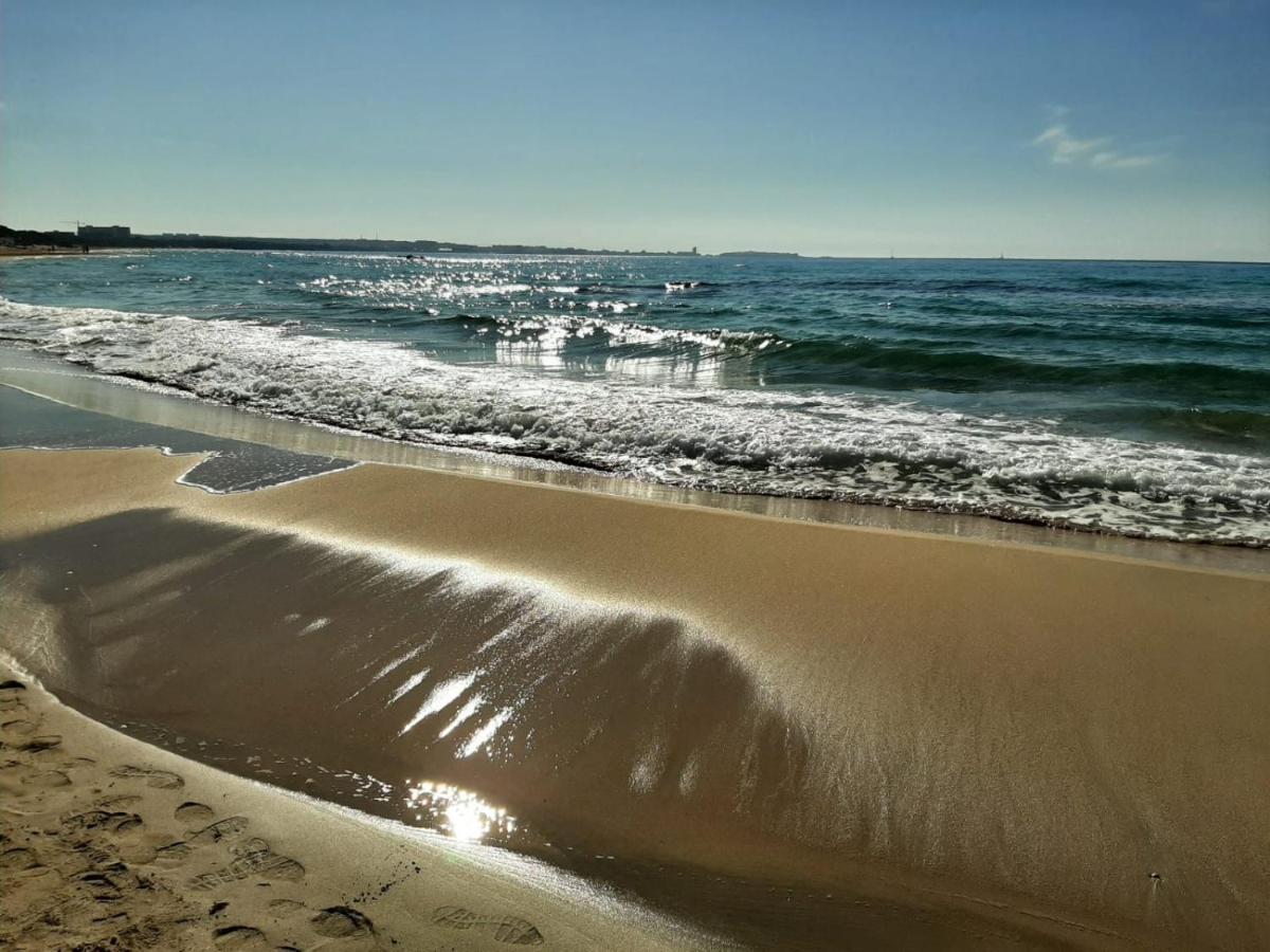 Lunaspina *